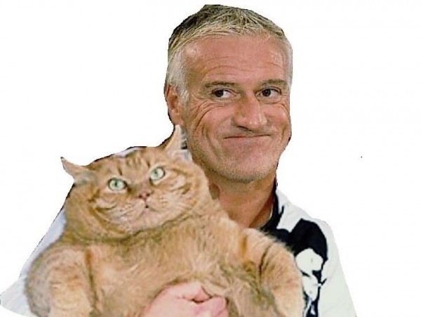 401FE414-1BF8-462A-94E6-304F064FDEF8.jpeg (62.93 Kio) Vu 480 fois 401FE414-1BF8-462A-94E6-304F064FDEF8.jpeg